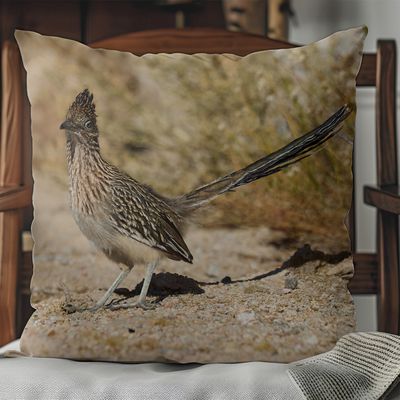 Greater Roadrunner pillow cover – Palm Springs desert bird photography by Dennis Newsham
