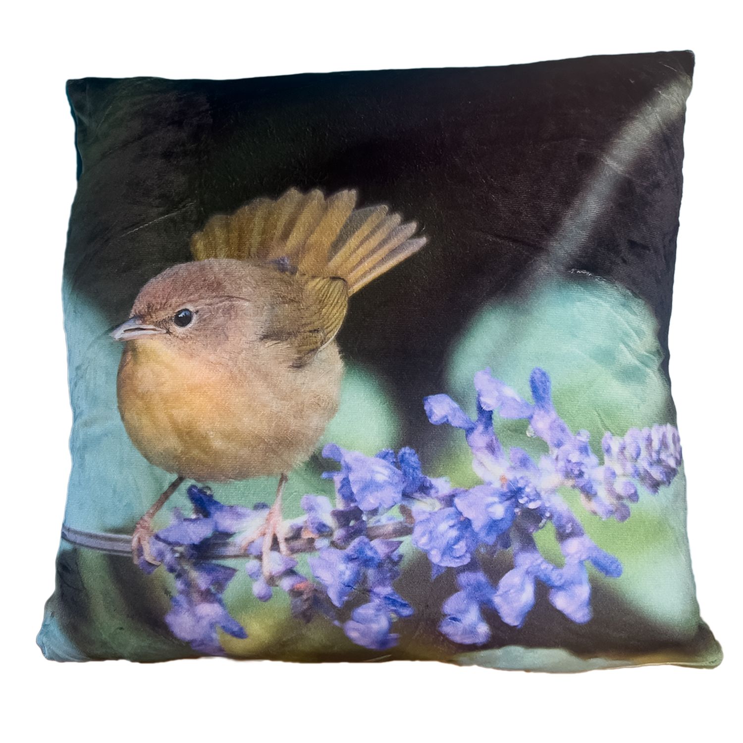 Common Yellowthroat pillow cover – Bryant Park NYC wildlife bird photography by Dennis Newsham