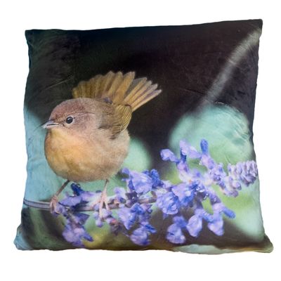 Common Yellowthroat pillow cover – Bryant Park NYC wildlife bird photography by Dennis Newsham