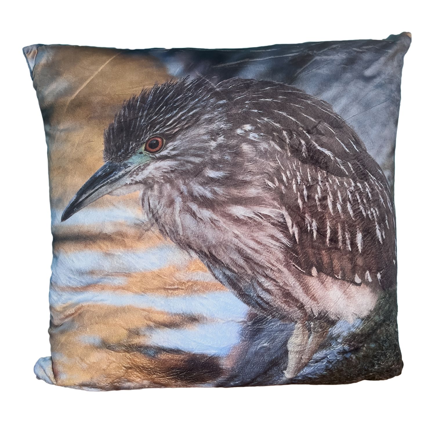 Black-crowned Night Heron pillow cover – Palm Springs bird photography by Dennis Newsham