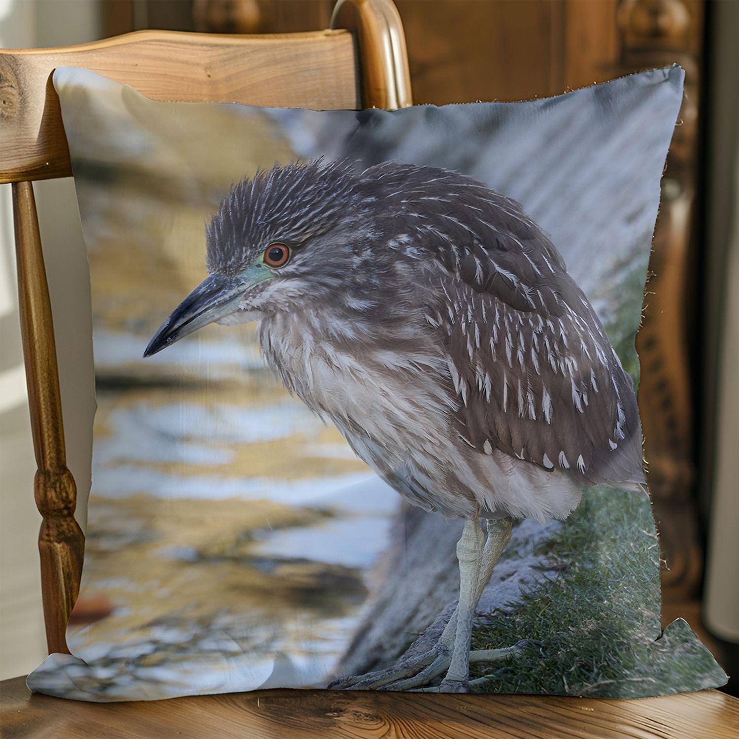 Black-crowned Night Heron pillow cover – Palm Springs bird photography by Dennis Newsham