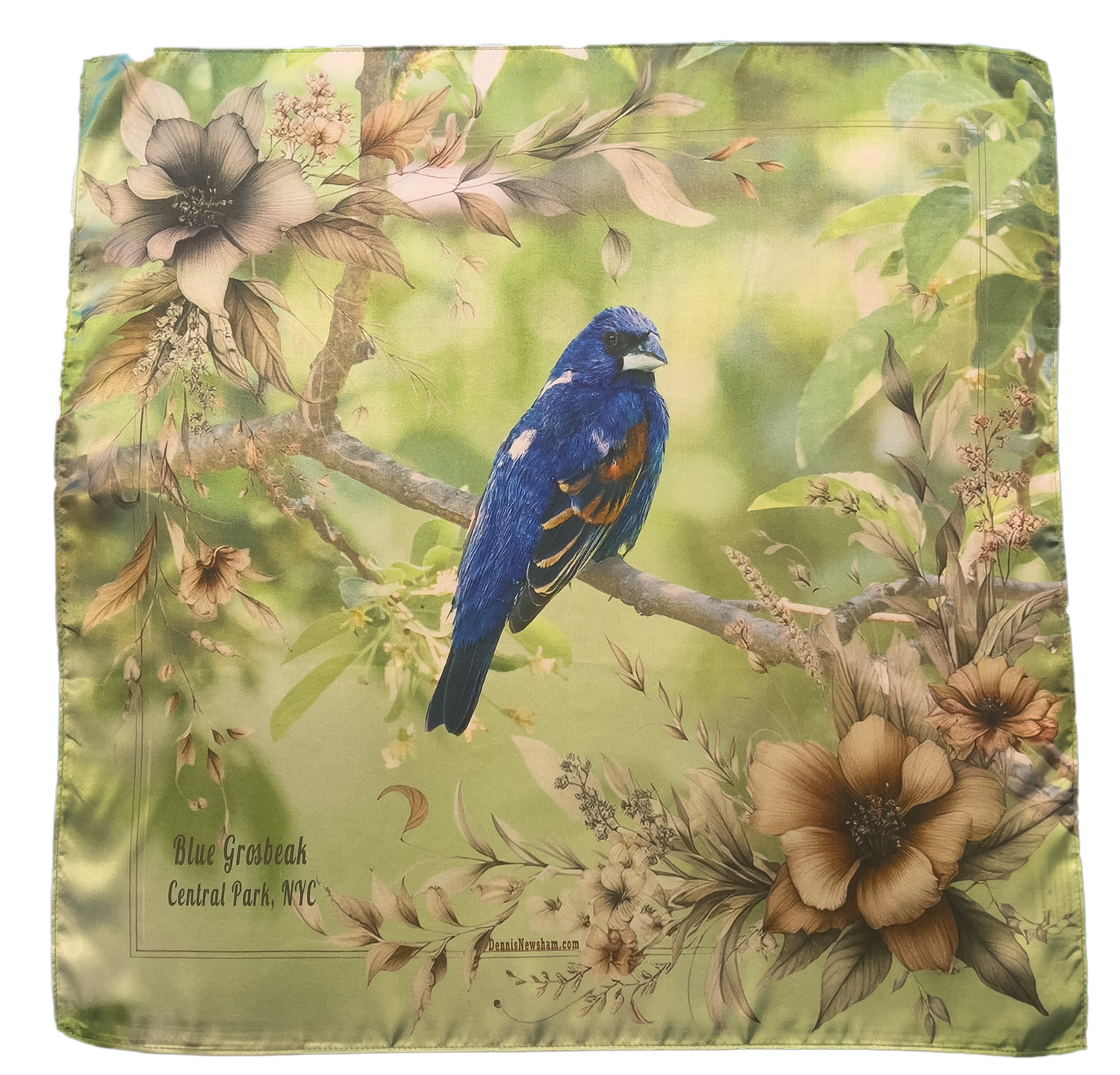 Blue Grosbeak bird scarf – NYC wildlife photography textile by Dennis Newsham