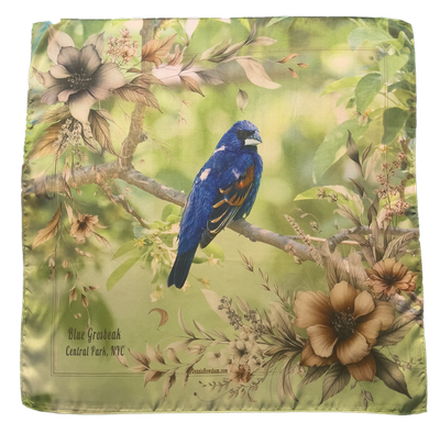 Blue Grosbeak bird scarf – NYC wildlife photography textile by Dennis Newsham