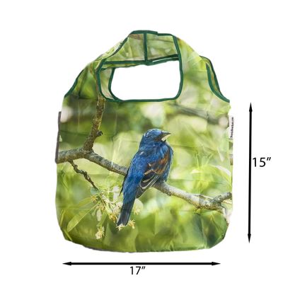 Blue Grosbeak reusable shopping bag laid flat, 15 by 17 inches not including handle – NYC wildlife photo by Dennis Newsham