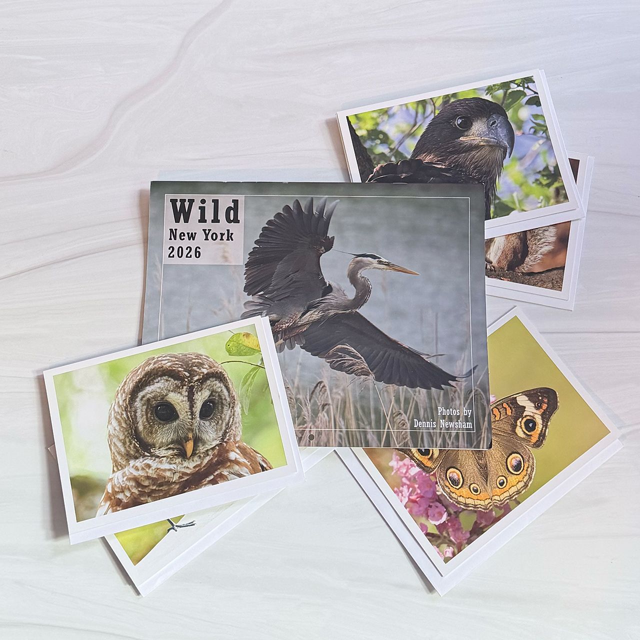 Wild New York 2026 Calendar with Greeting Cards