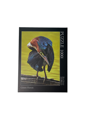 Wildlife puzzle featuring Green Heron in Clove Lake Park, Staten Island – 1000 pieces