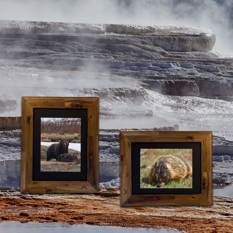 Yellowstone National Park Prints Collection