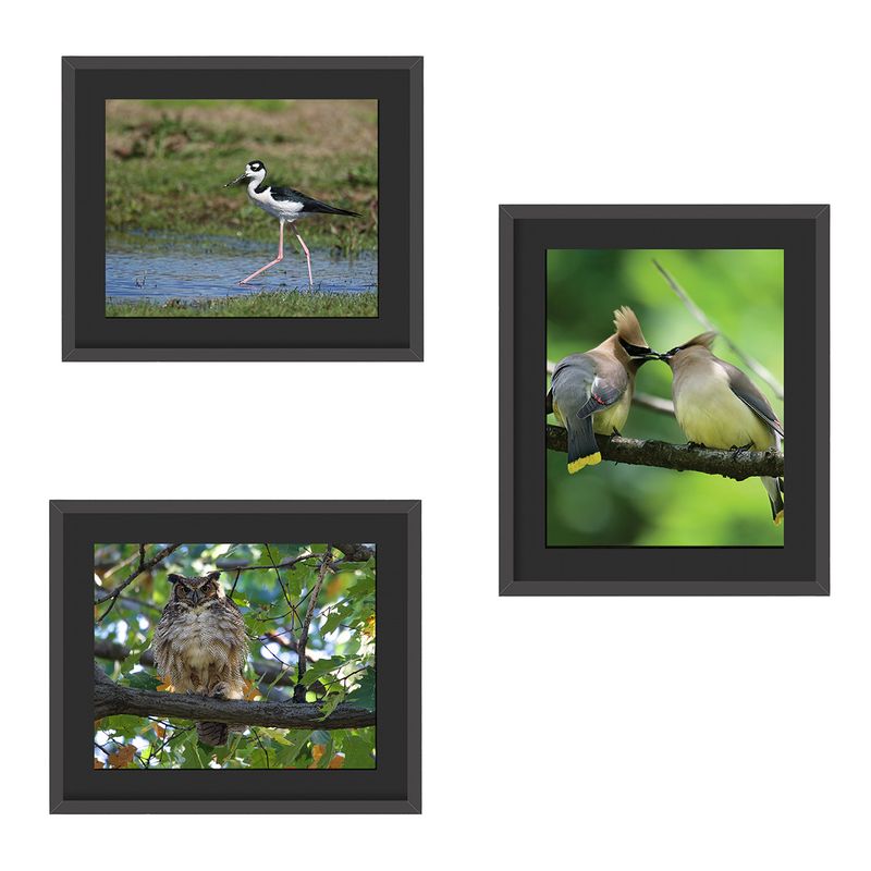WNY Calendars 2017 - 2027  Framed Print