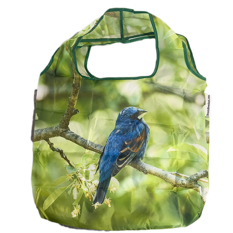 Spring Songbird Gift Set | Blue Grosbeak Bag & Bird Cleaning Cloths