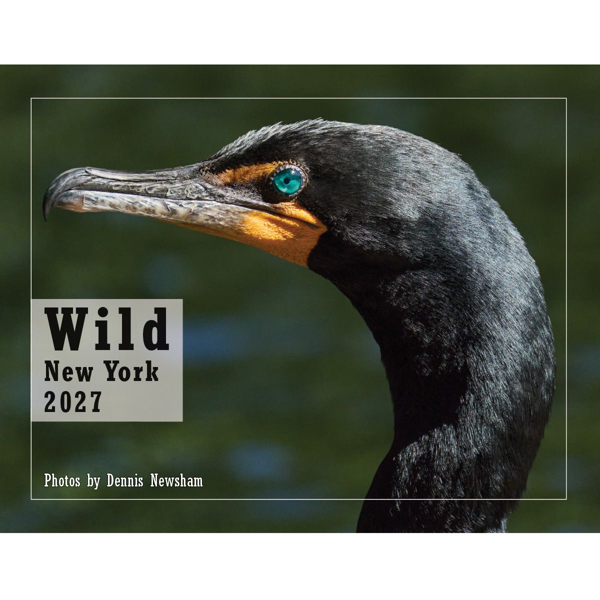 Wild New York 2027 Calendar – Limited Edition Wild New York 2027 Calendar – Limited Edition