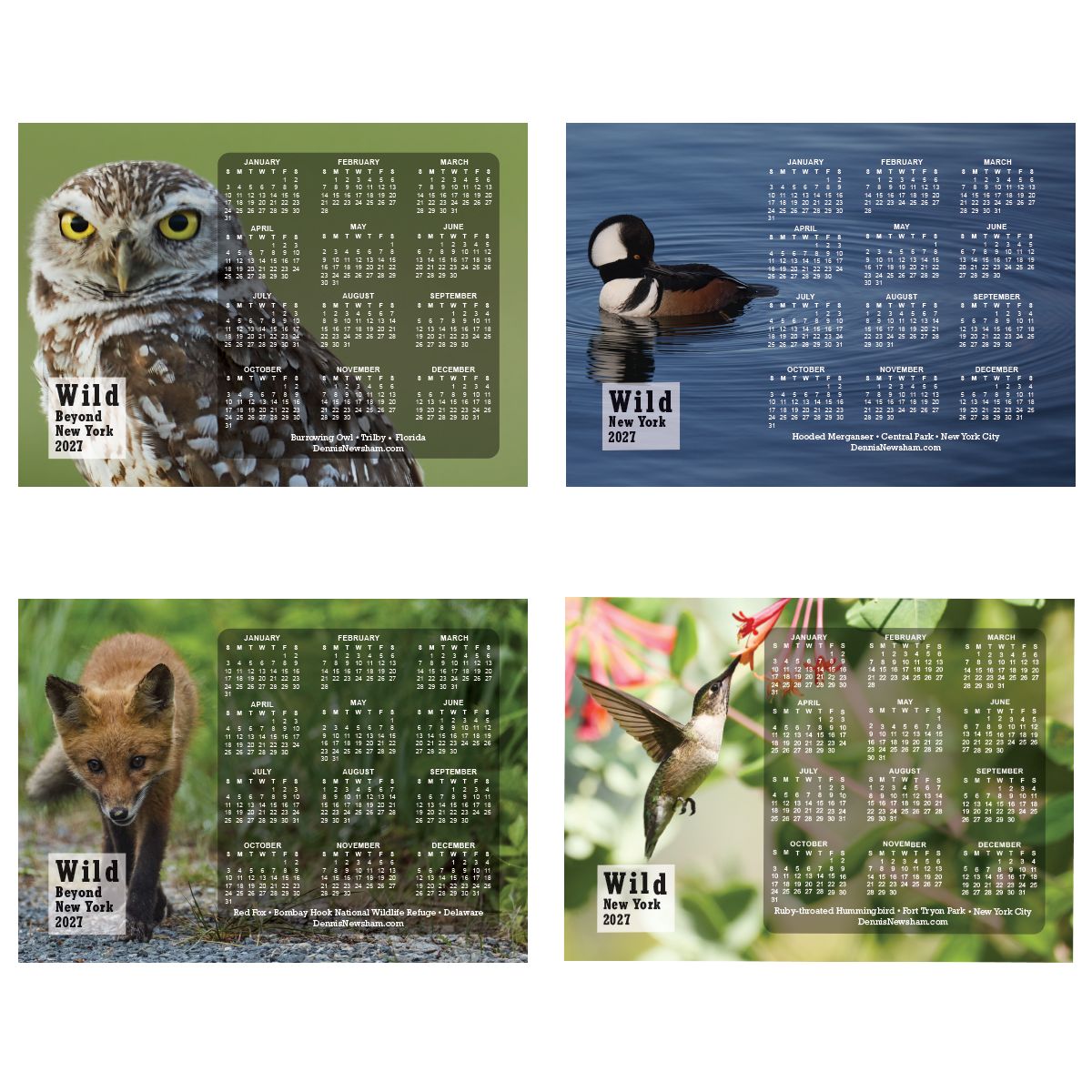 2027 WIldlife Calendar Magnet Collection - Set of 4