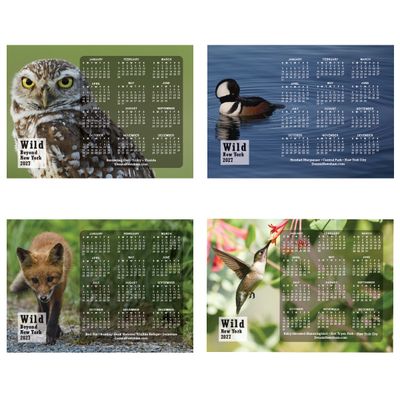 2027 WIldlife Calendar Magnet Collection - Set of 4