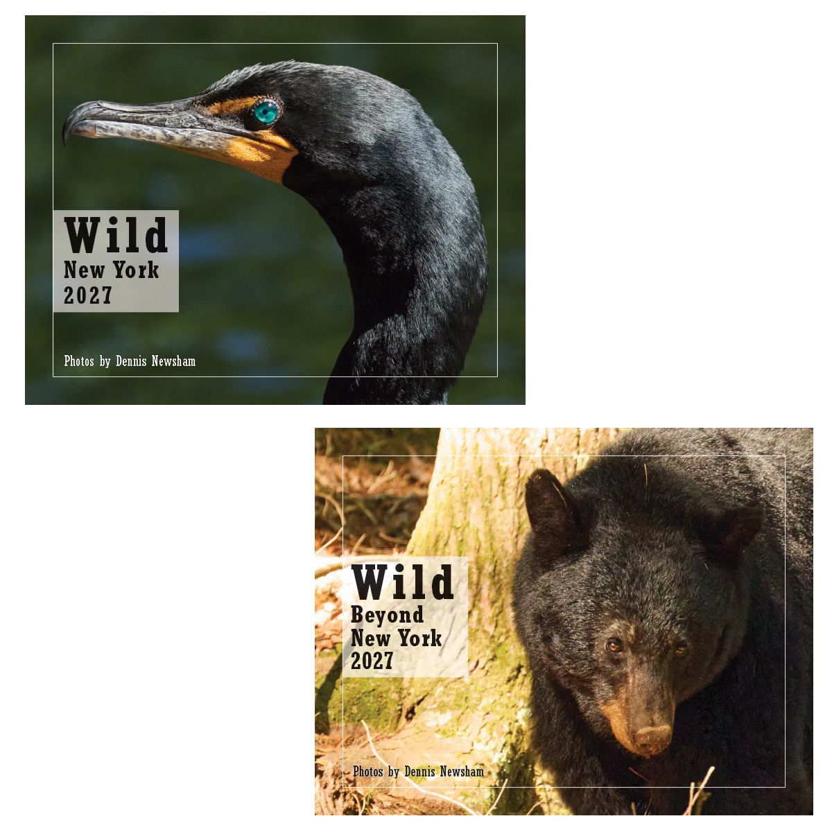 2027 Wildlife Calendar & Greeting Card Gift Set