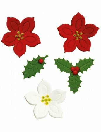 Agrifoglio e fiori Agrifoglio e fiori