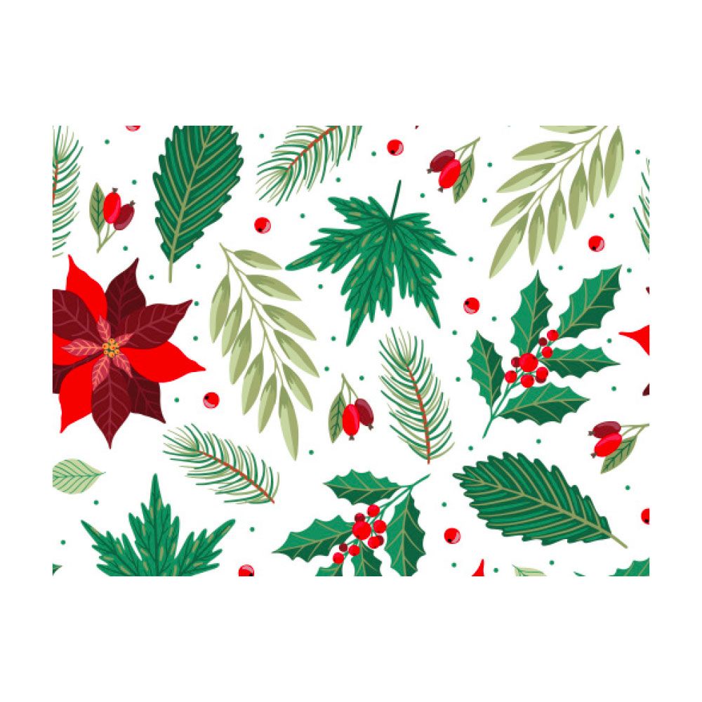 Scatola per dolci alta - Stella di Natale