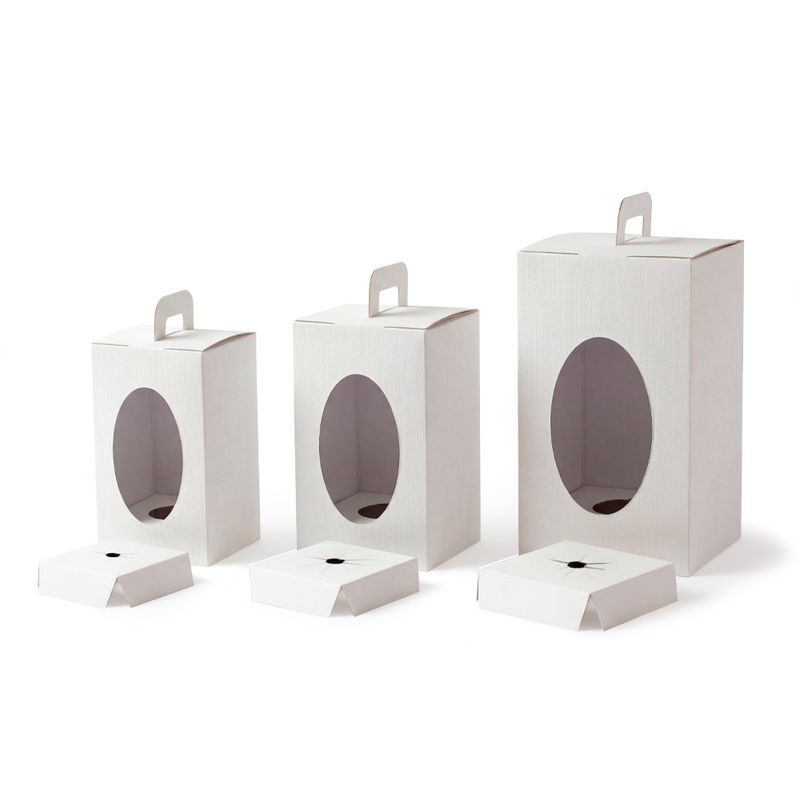 2 scatole con finestra per uova - 20 x 20 x 35h cm