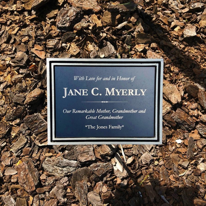 Limited Time Special! Commemorative Tree Plaque (for OrthoCarolina Sportsplex only)