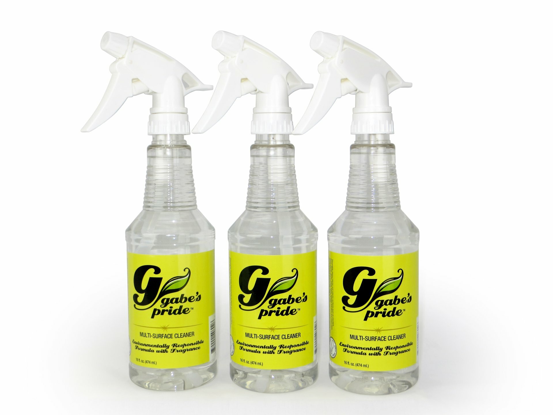 Bathroom Products Cleaning Kit - Gabe's Pride