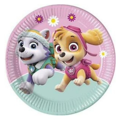 Paw Patrol Skye &amp; Everest