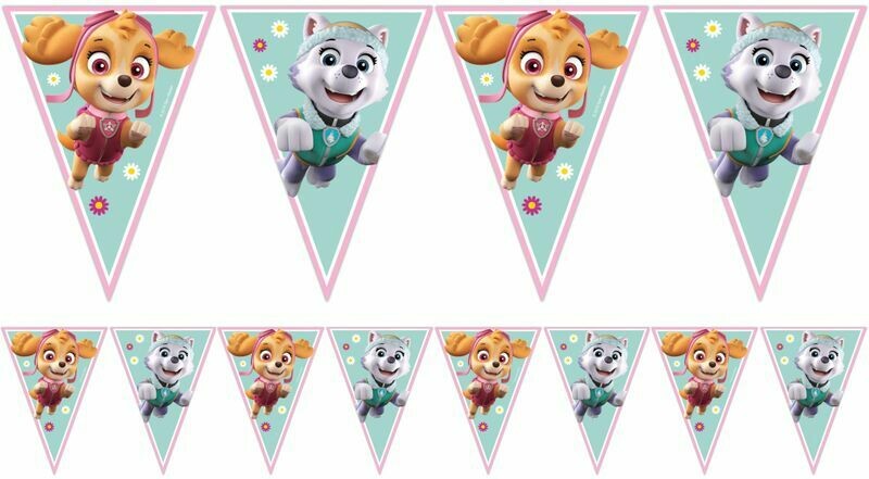 Triangle Flag Banner Paw Patrol Sky &amp; Everest