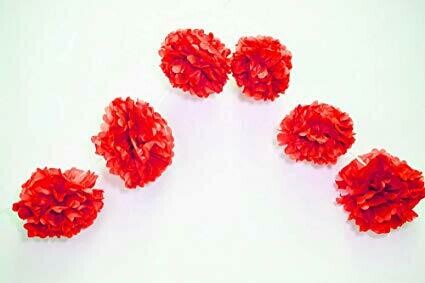 Tissue Pom Pom Garland Red