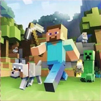 Minecraft Napkins /20Pcs