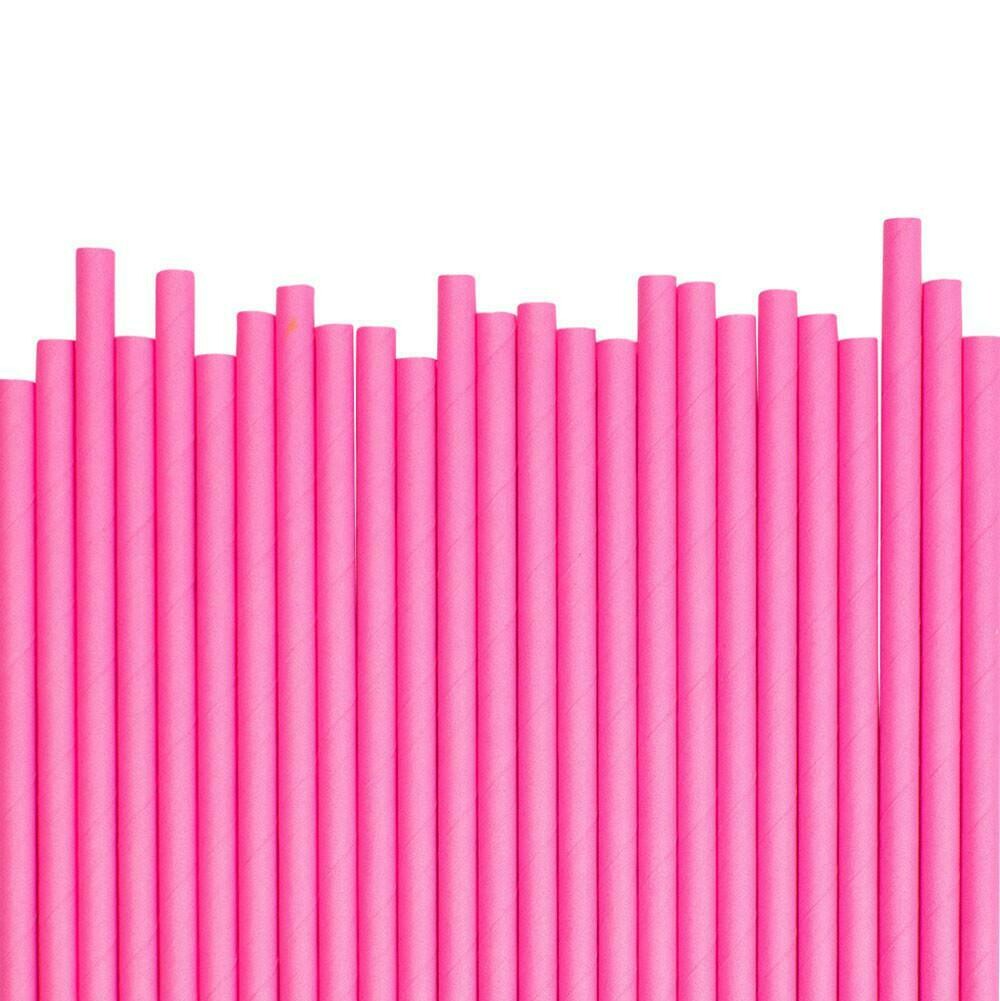 Hot Pink Paper Straws /25Pcs