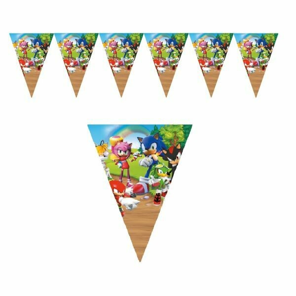 Sonic The Hedgehog Flag Banner