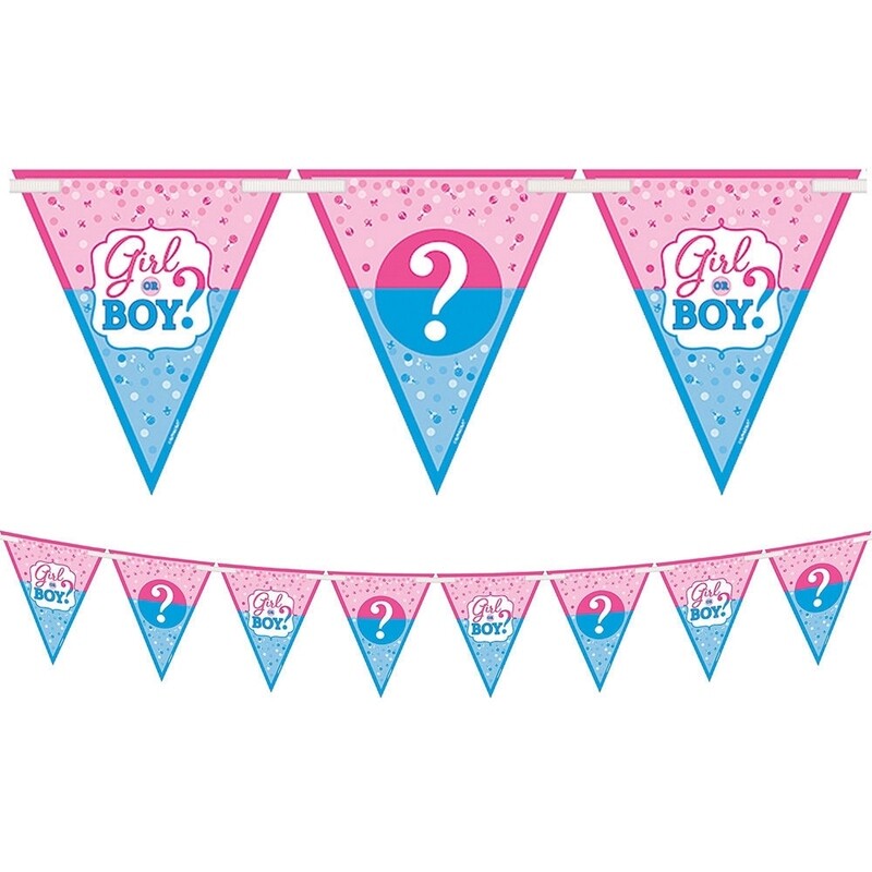 Gender Reveal Flag Banner