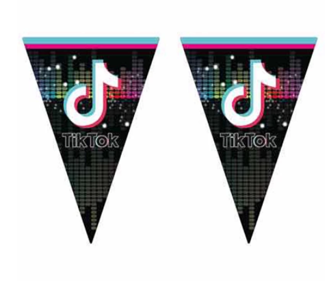 Tik Tok Flag Banner
