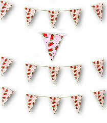 Watermelon Flag Banner