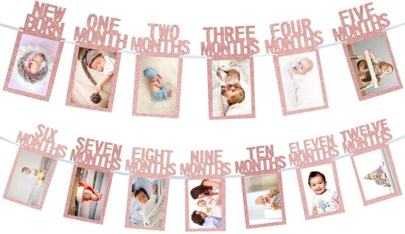 Pink 12 Months Photo Banner