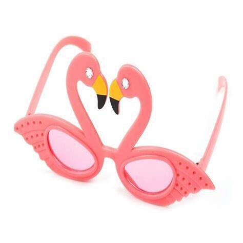 Flamingo Eyeglasses