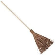 Witch Broom