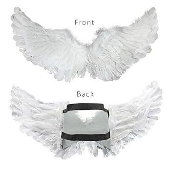White Angel Wings