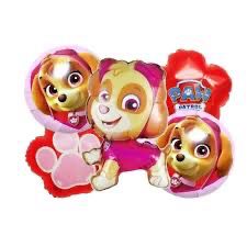 Skye Foil Balloon/5 Pcs