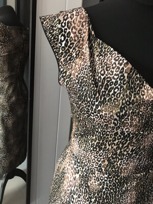 Brown Leopard 🐆