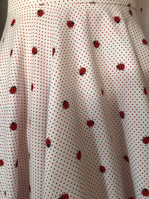 Ladybugs 🐞 Minidots