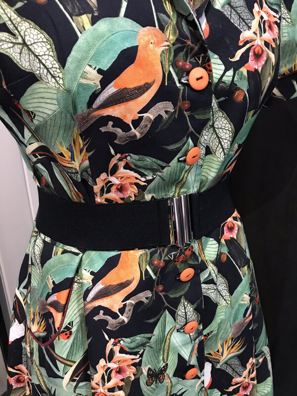 Tropical Forest 🌳 Tropical Forest 🌳