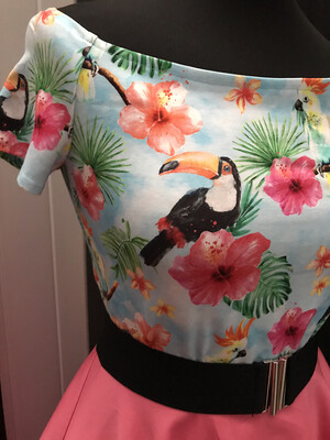 Top Toucan Top Toucan