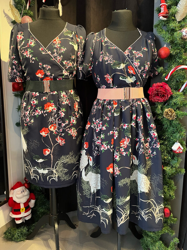 Crane bird Crane bird