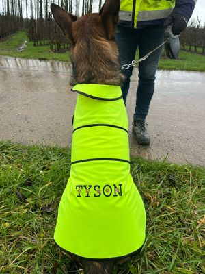 Fluo hondenvestje