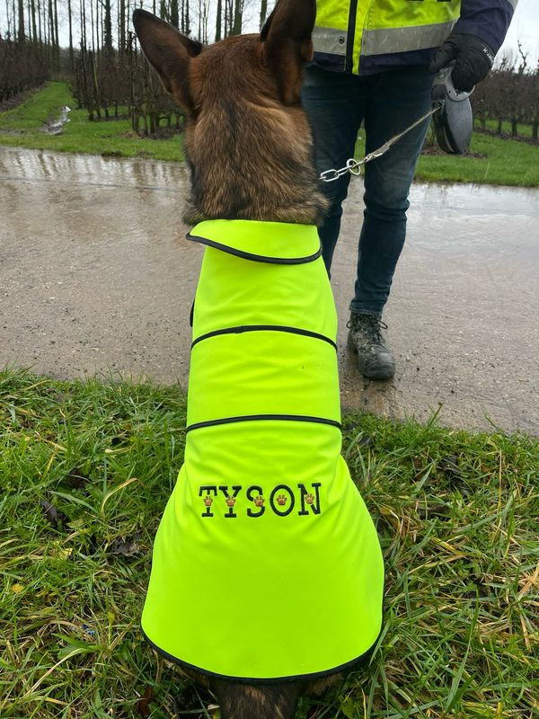 Fluo hondenvestje