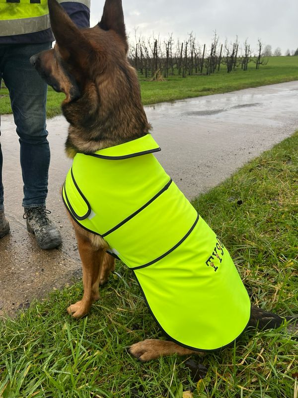 Fluo hondenvestje