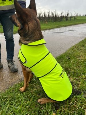 Fluo hondenvestje