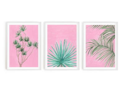 Plants on Pink Print Set (3 Prints)