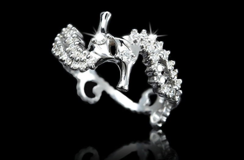 Seahorse