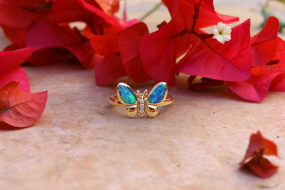 Butterfly