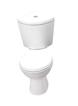 Corner Toilets
