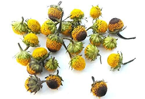 Dried Buzz Button Flowers (Spilanthes): 50/50 Variety pack.